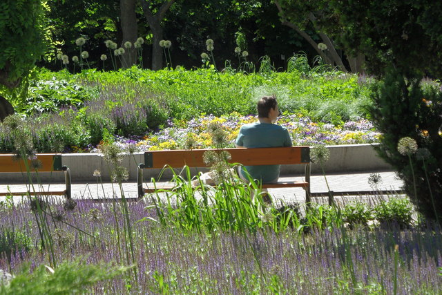 Frühling am Oswald Thomas Platz - Ruheoase am Rande des Wiener Praters . . .