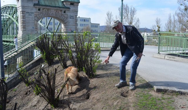 Richard Danheimer und Hund Lisa vor den Rattenlöchern am Döblinger Steg. | Foto: Foto: Lisa Kössler