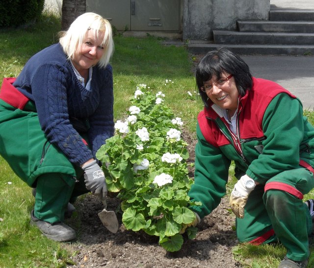 Im Frühling wird der Donaupark zur Oase - Fleissige Gärtnerinnen gestalten künstlerisch die Parkflächen. Besucher werden mit der Seele baumeln und Energie tanken.