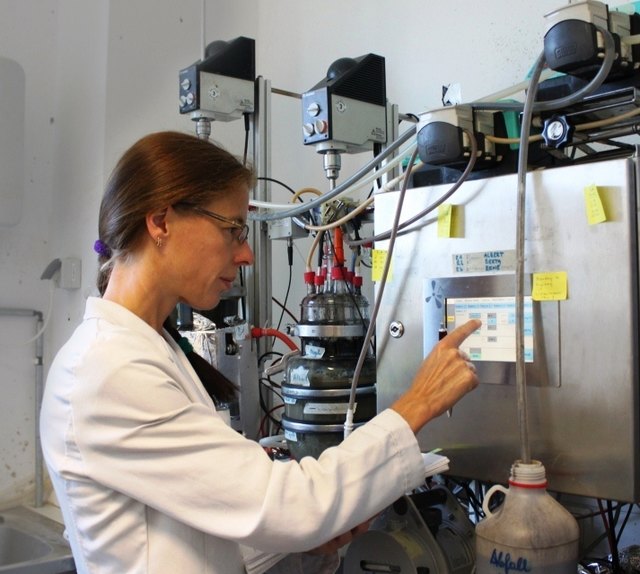 Frauen sind in der Erneuerbaren Energiebranche rar vertreten. | Foto: Profactor GmbH