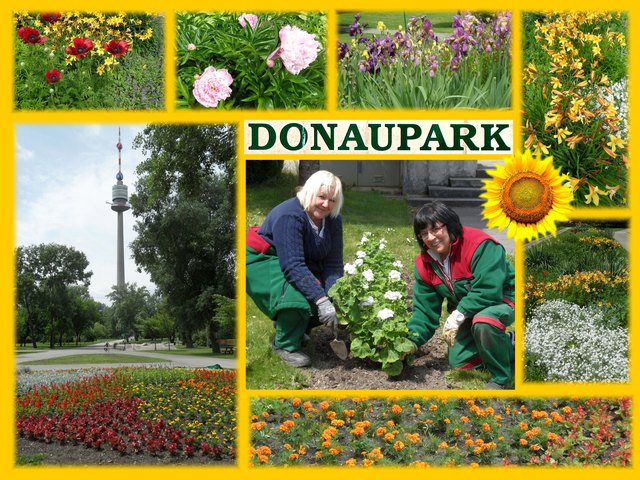Frühling im Donaupark - " Fleissige Lieschen " gestalten den Donaupark . . .