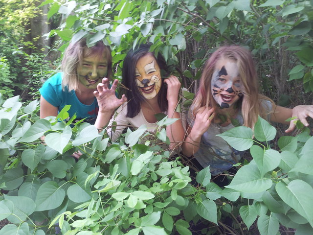 3 entzückende Waldfeen