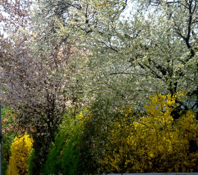 Frühlingsfarben