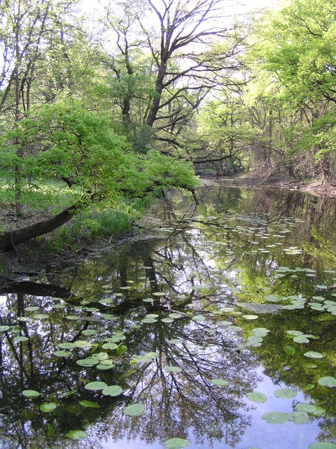 Auen-blick 2