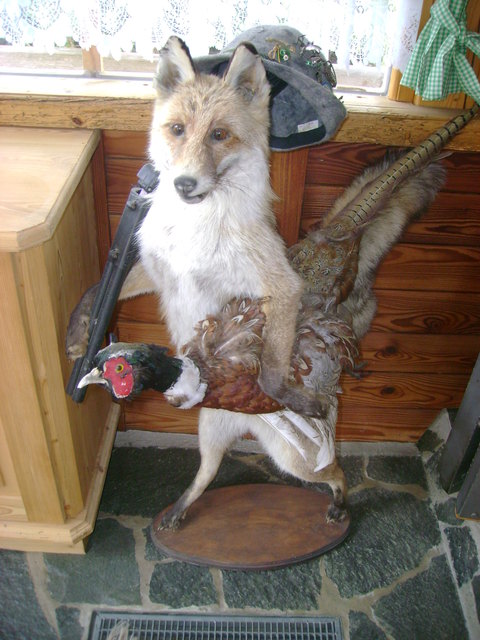 "Pssst. - Der Fasan war eh schon ganz zääh" sprach Meister Reineke