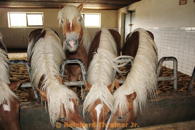 wie in der Formel1 hinten anstellen...