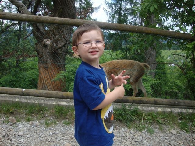 Tierpark Herberstein