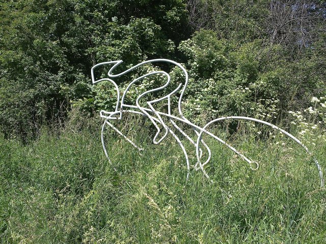 Radfahren in der Natur ( an der Liesing)