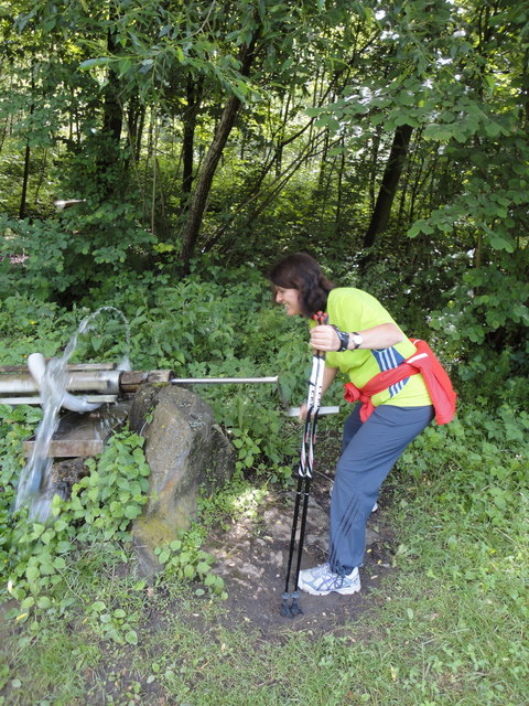 Weinweg der Sinne St. Anna/ Aigen