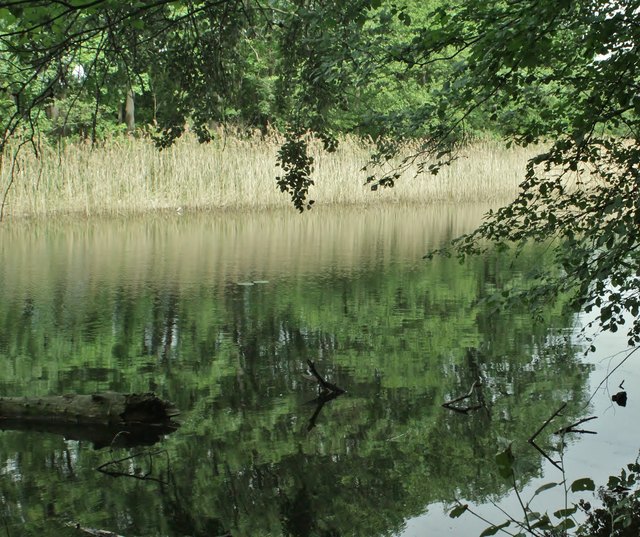 lobau