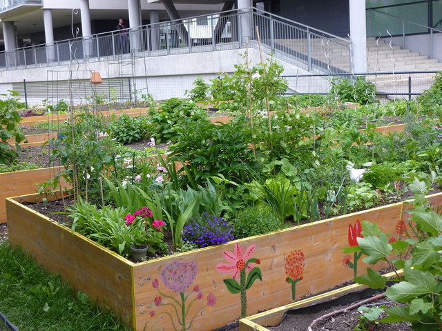 Gemeinschaftsbeet | Foto: Susanne Huf