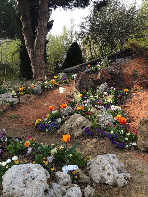 Es blüht und gefeiht im Garten