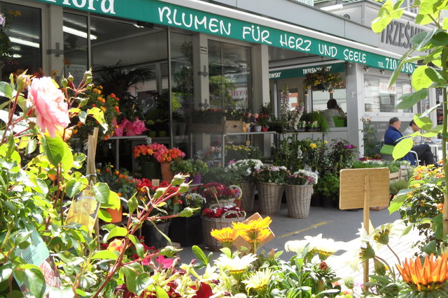 Blumenstand am Rochusmarkt - Frühlingsblumen für Herz und Seele, Blumen efreuen jeden ... Bring mal Blumen mit nach Hause !