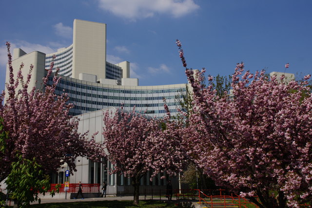 Frühlingspracht in Kaisermühlen