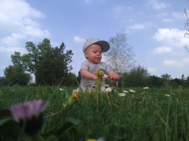 Frühling mit allen Sinnen genießen!