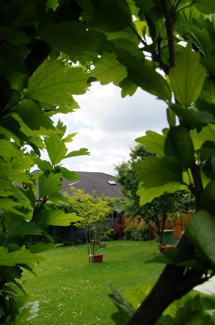 Durchblick