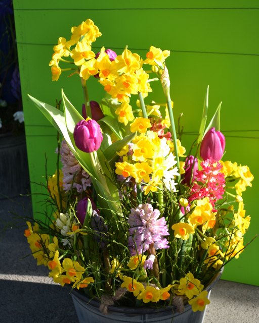 Buntes Frühlingsarrangement