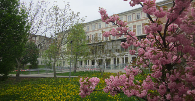 Frühling im Otto-Wagner-Spital