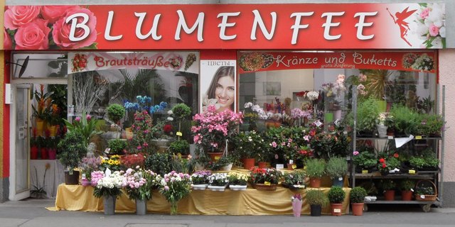 Flowers, Flowers , Flowers ... Frühlingsblumen an der Taborstrasse !