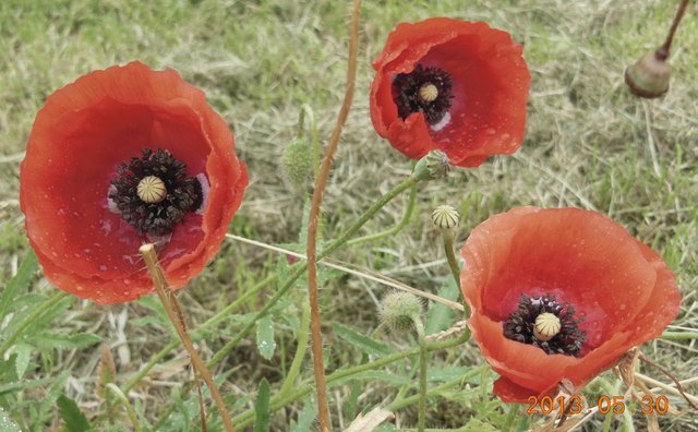 In der Steiermark ist es auch bei Regen schön