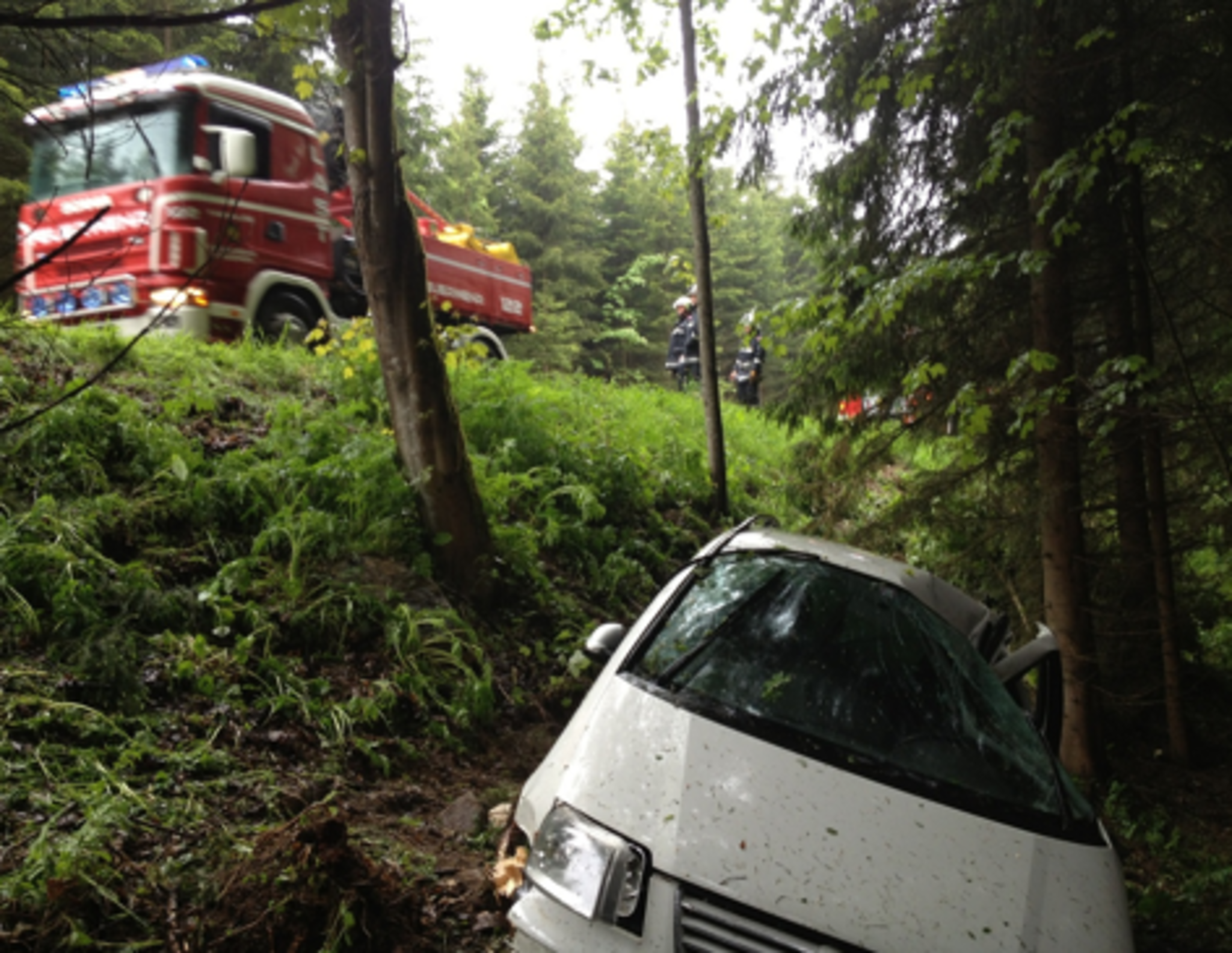 Auto prallte gegen Baum: Beifahrer verletzt - Freistadt