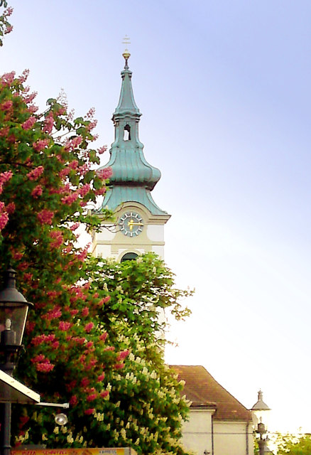Frühling in Mauer