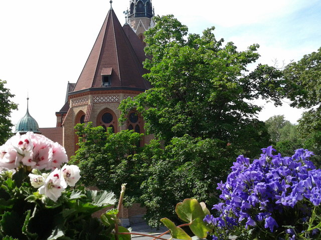 Frühling in Donaufeld