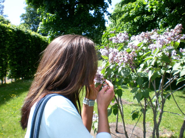 In Schönbrunn