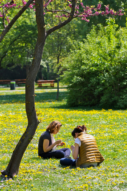Frühling im Donaupark