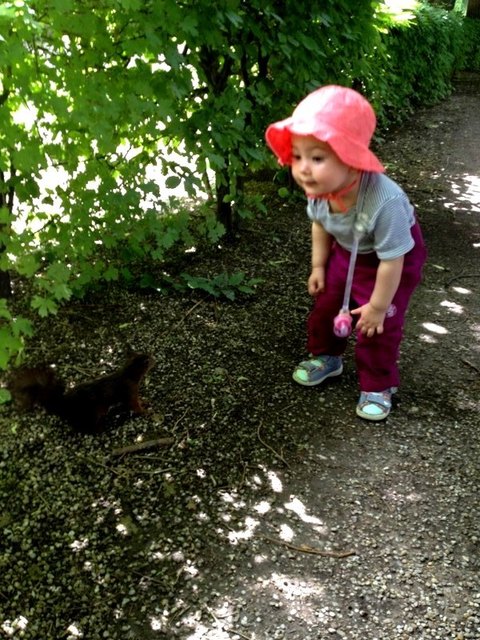 Eichhörnchen-Gespräch