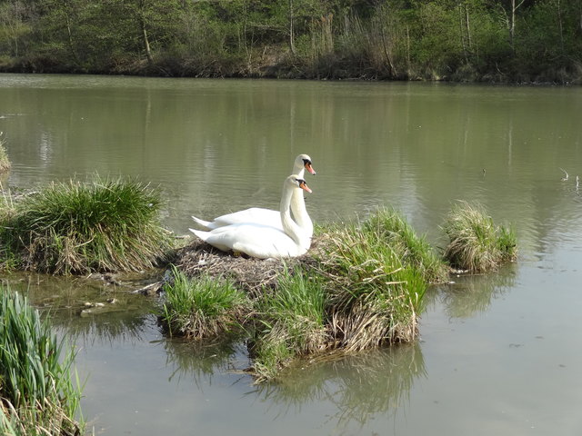 Frühlingsgefühle am Marchfeldkanal