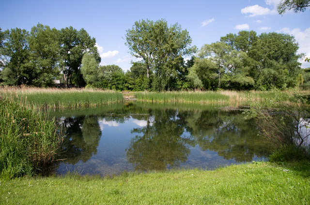 Mühlwasser