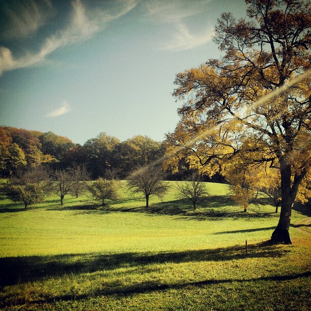 Wienerwald_02