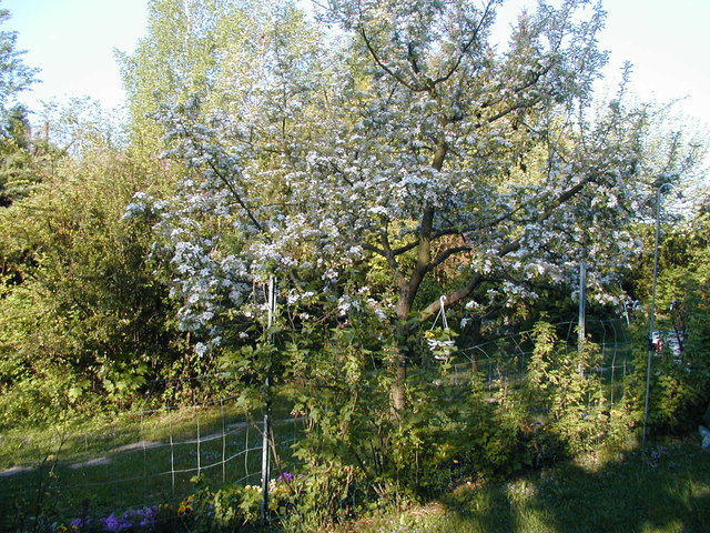 Das war noch ein Frühling