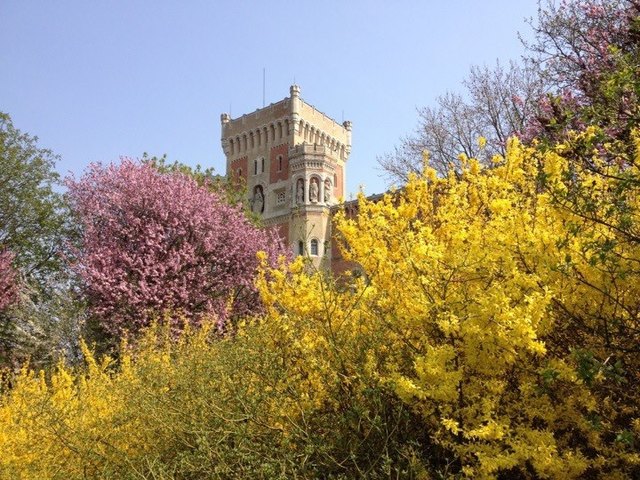 Frühling im Arsenal