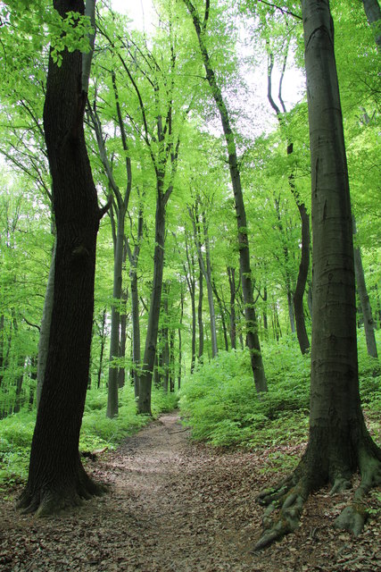 Ein Tag im Wienerwald