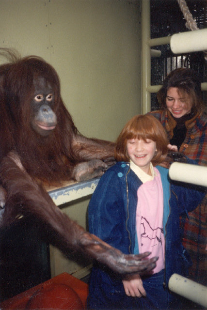 Besuch bei malndem Orang Utan in Schönbrunn