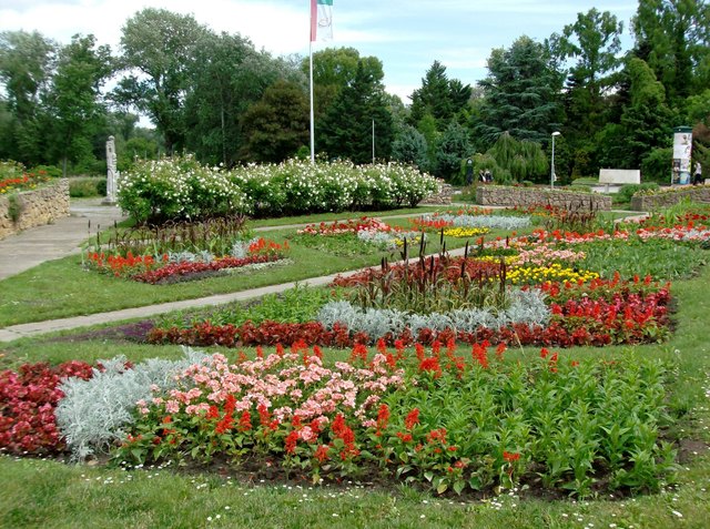 Blumenpracht im Donaupark.