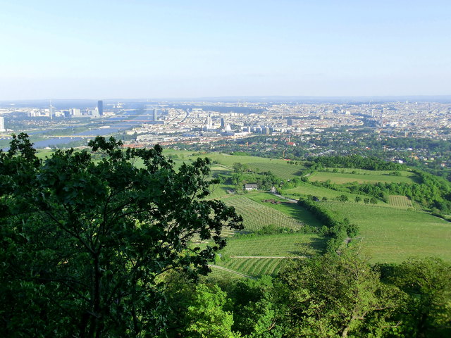 Blick vom Kahlenberg über Wien