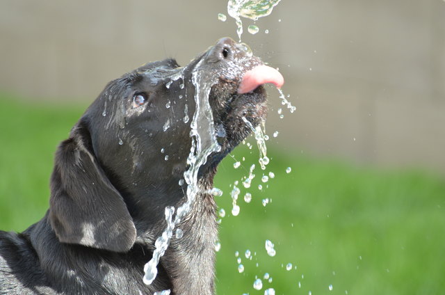 enzo meint: "frühling ist toll, da schmilzt das eis endlich wieder zu wasser"