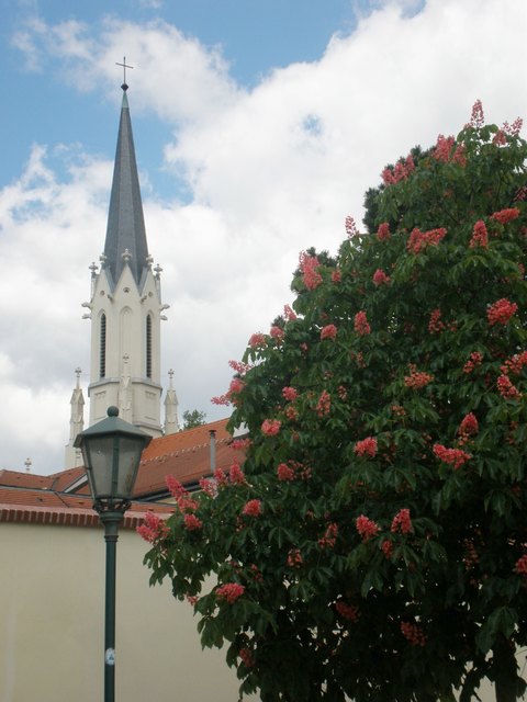 Hietzing