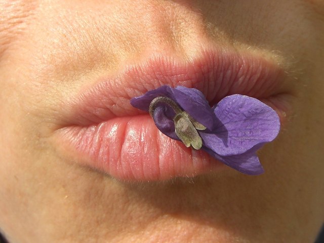 erste blumen