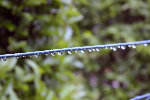 frühling im regen 3