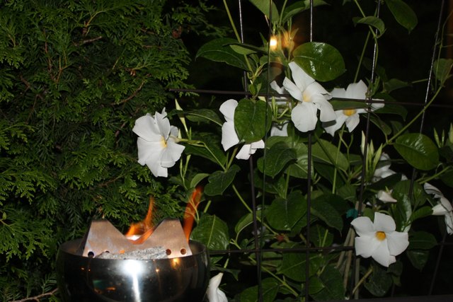 2013...wieder mal ein frühling zum einheizen