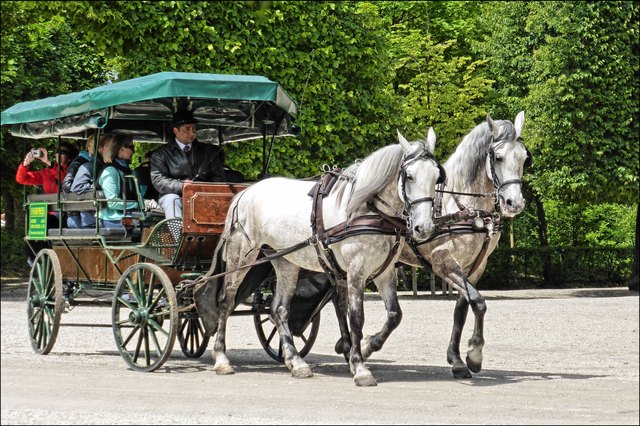 Ein Zeiserlwagen, wie anno dazumal!