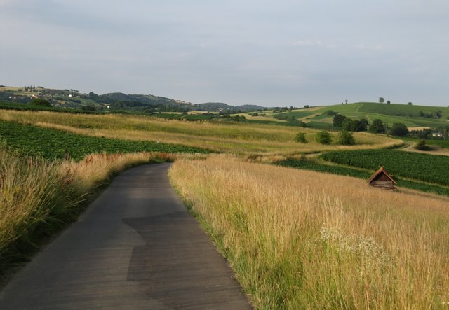 Sinnersdorf Weg bei St. Anna am Aigen