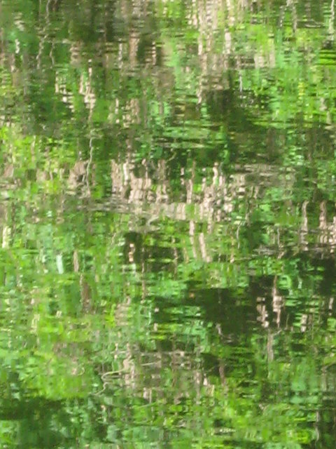 wasserspiegel