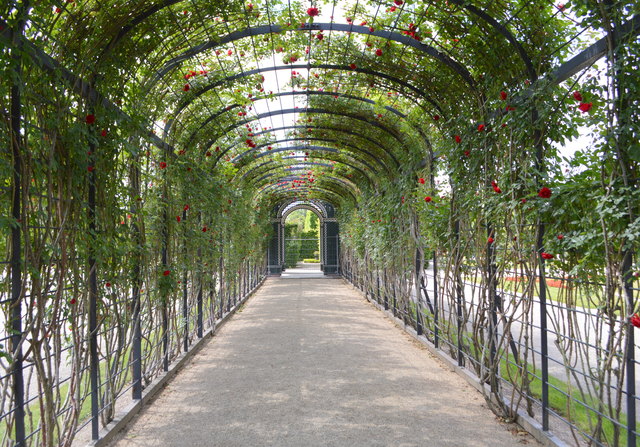 Schönbrunn Garten