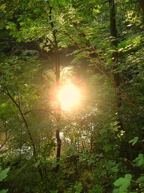 sonnenkraft