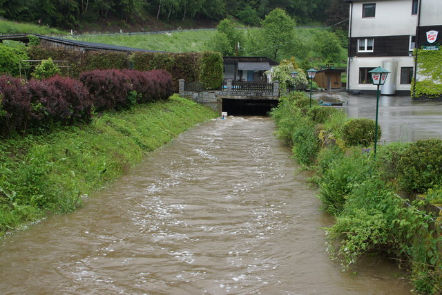 Zubringerbach zur Großen Mühl bei der Bachschmiede In Auberg.